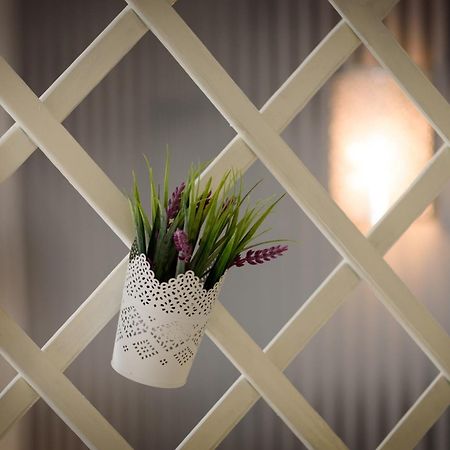 Apartament Studio Tironi 2 -Sonja Trogir Zewnętrze zdjęcie
