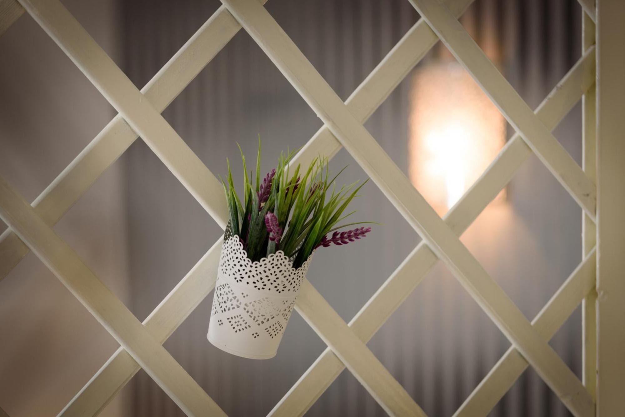 Apartament Studio Tironi 2 -Sonja Trogir Zewnętrze zdjęcie